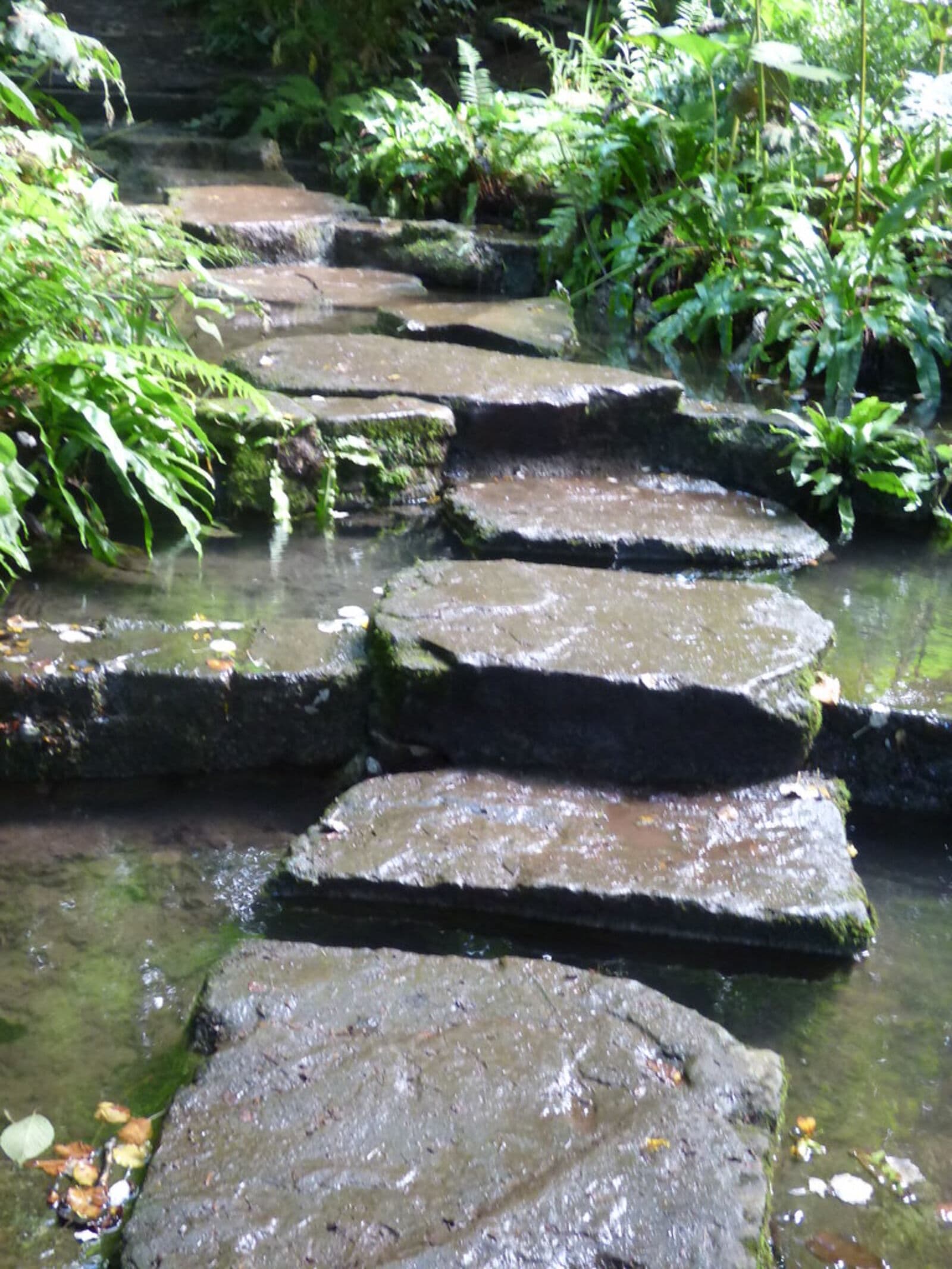 Stone steps rising between planted beds in a terraced garden