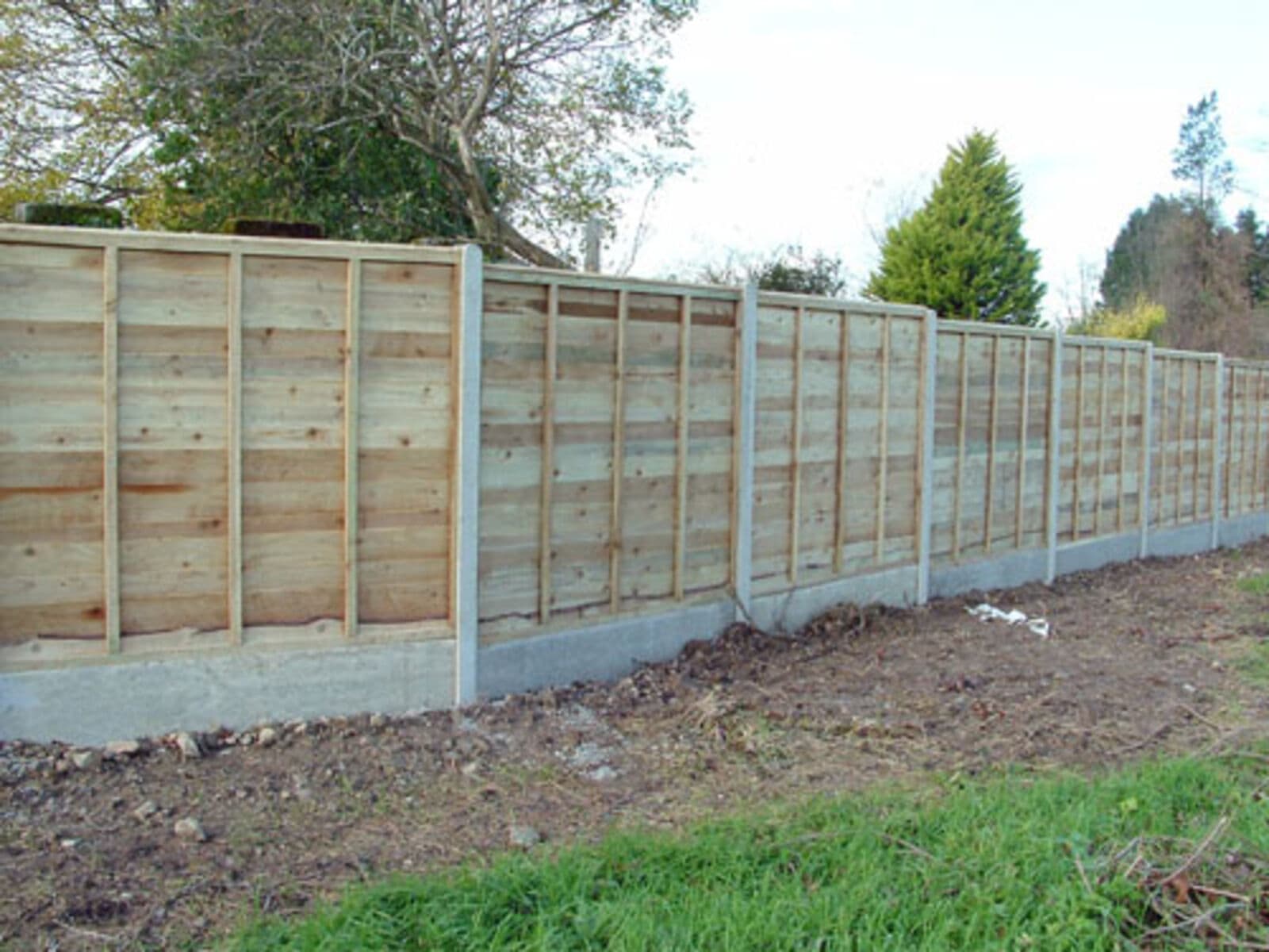 A newly installed timber panel fence with concrete posts along a garden boundary